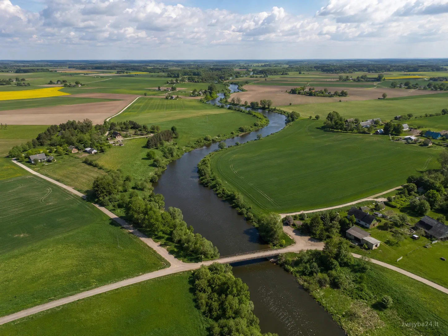 Bartuva