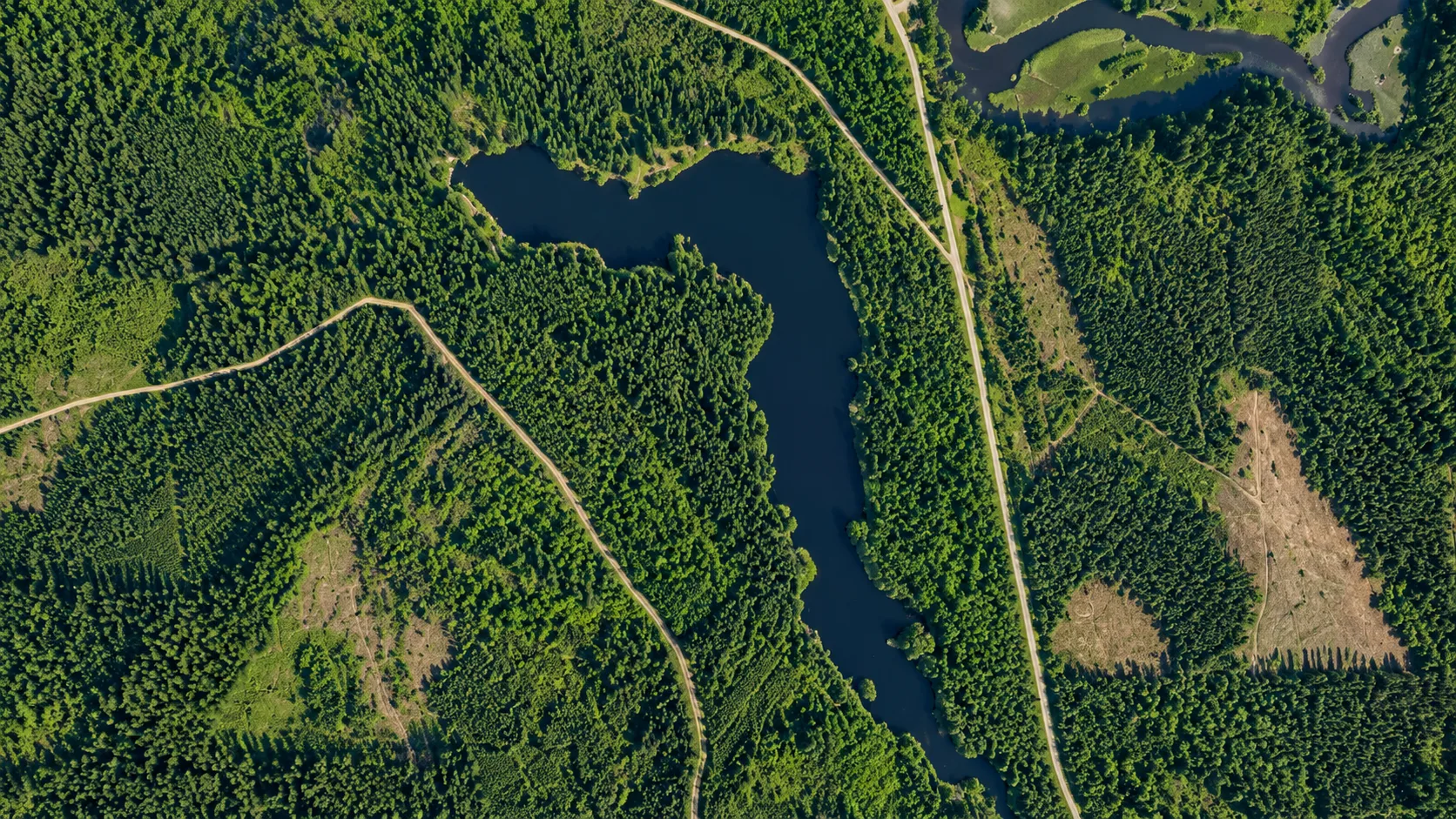 Šarkiškių I tvenkinys