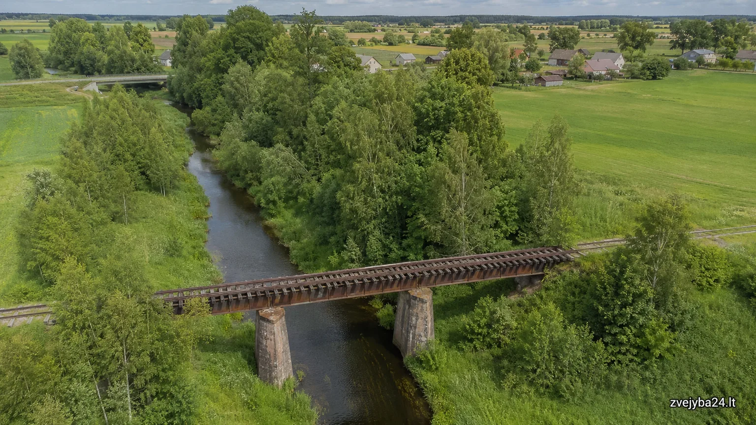 Daugyvenė