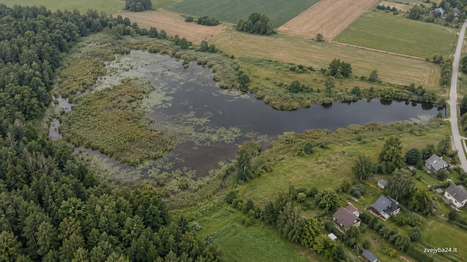 Pikelių tvenkinys