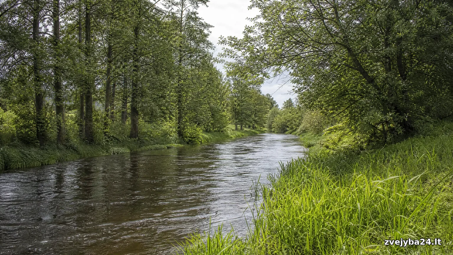 Strėva