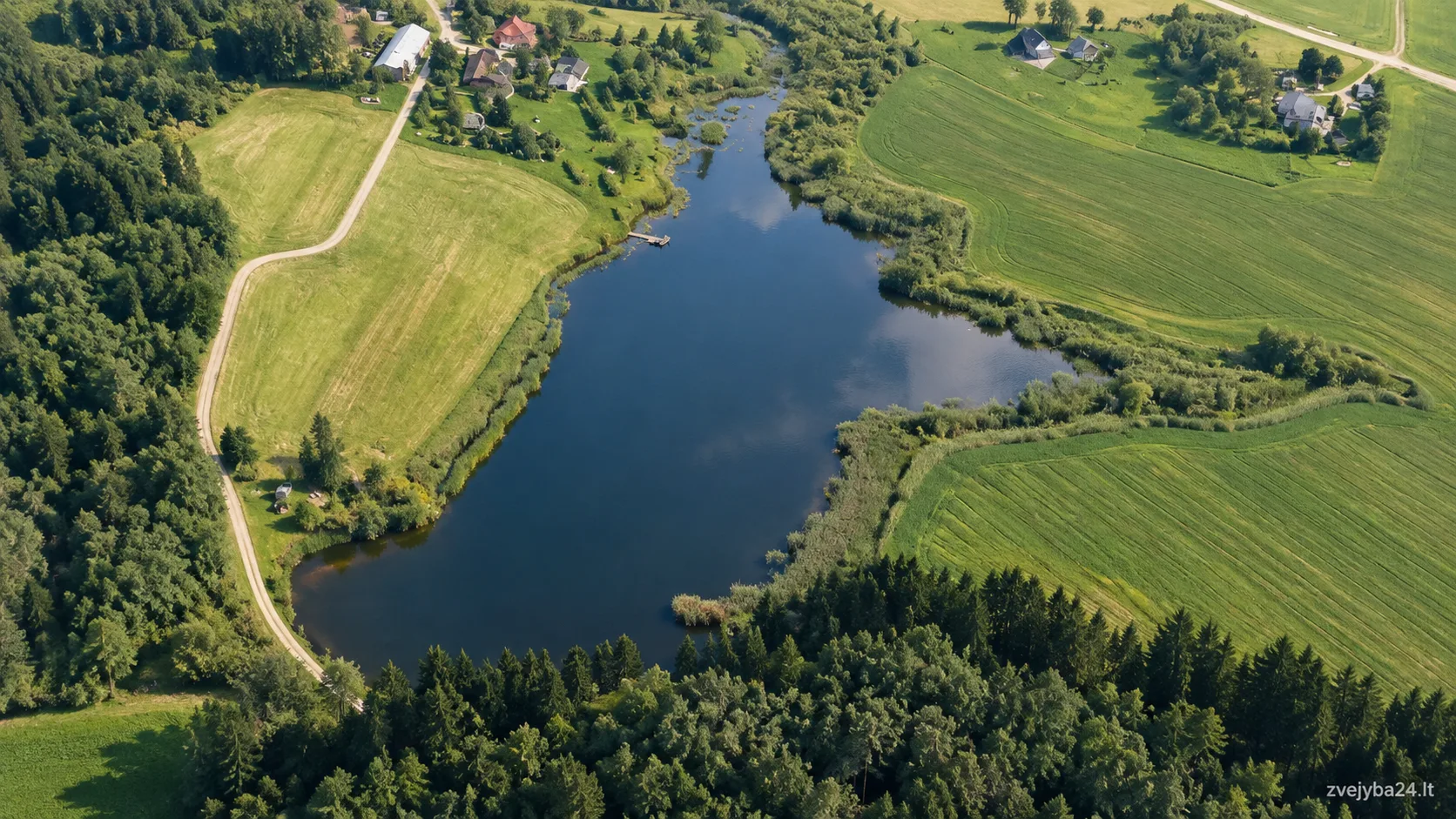 Ankštakių tvenkinys