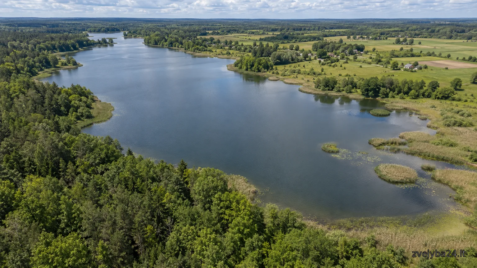 ežeras Musia (Skliausčių)