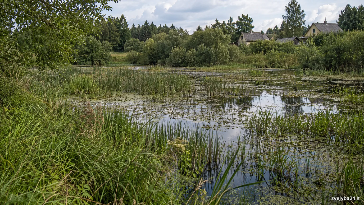 Kugių II tvenkinys