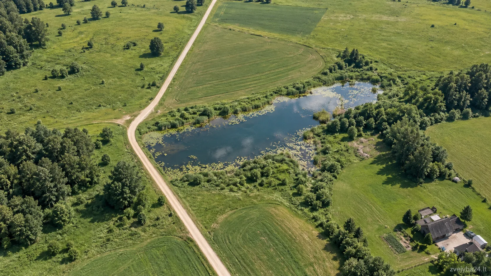 Laivių tvenkinys