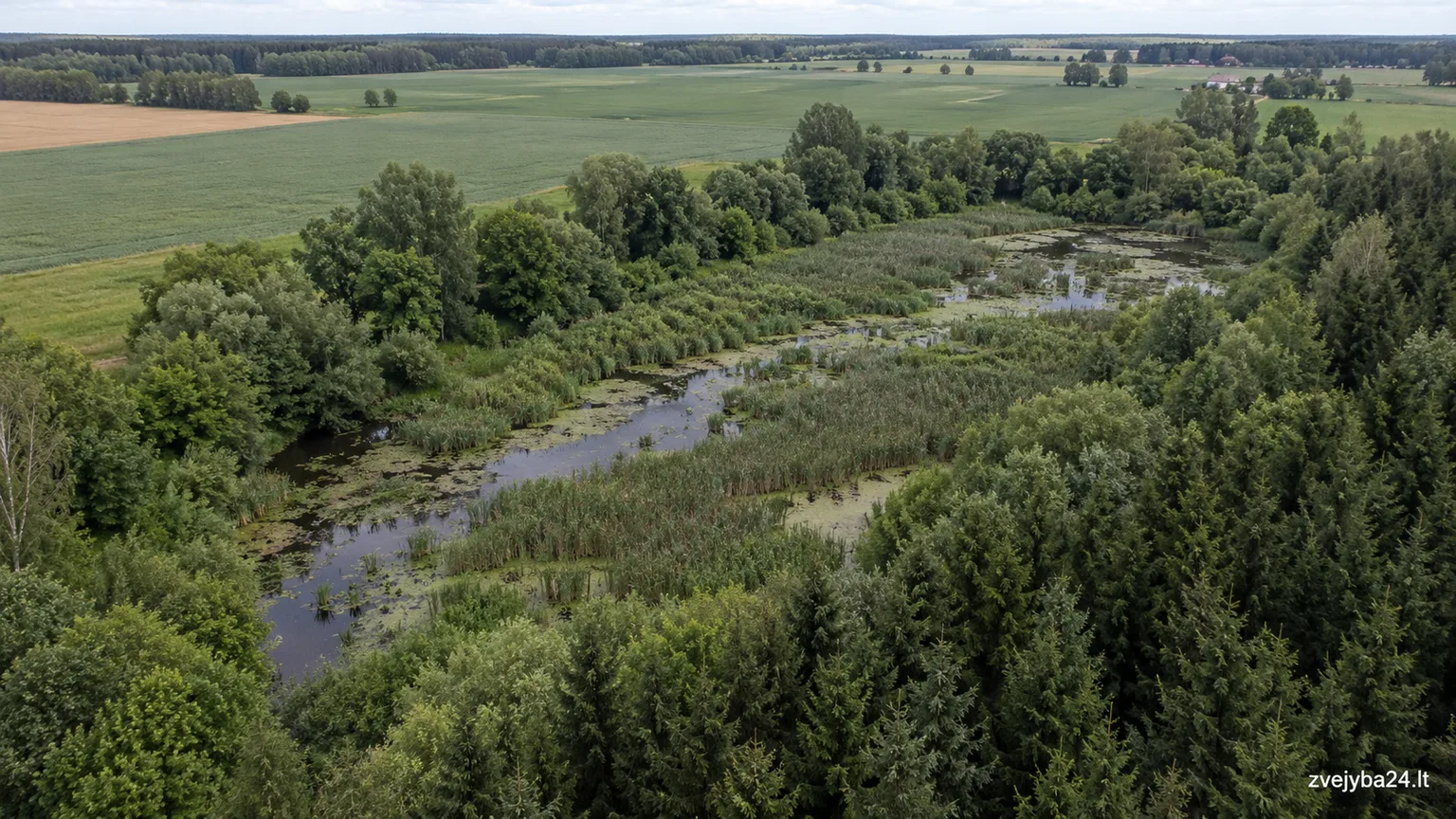 Kugių I tvenkinys