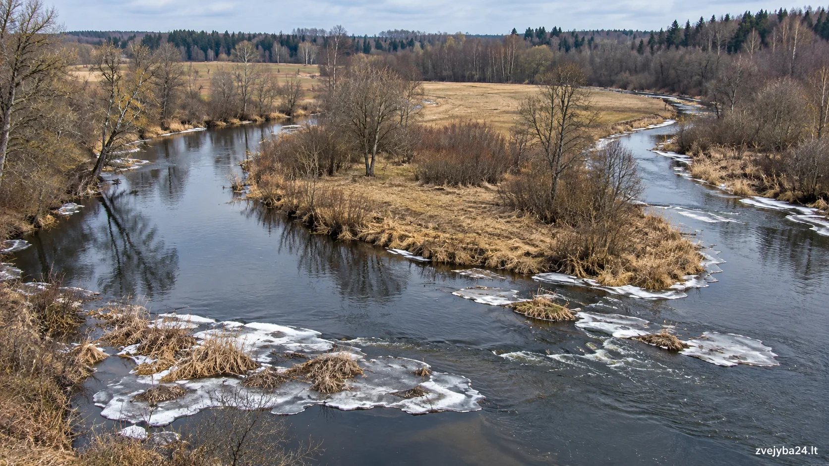 Virvytė