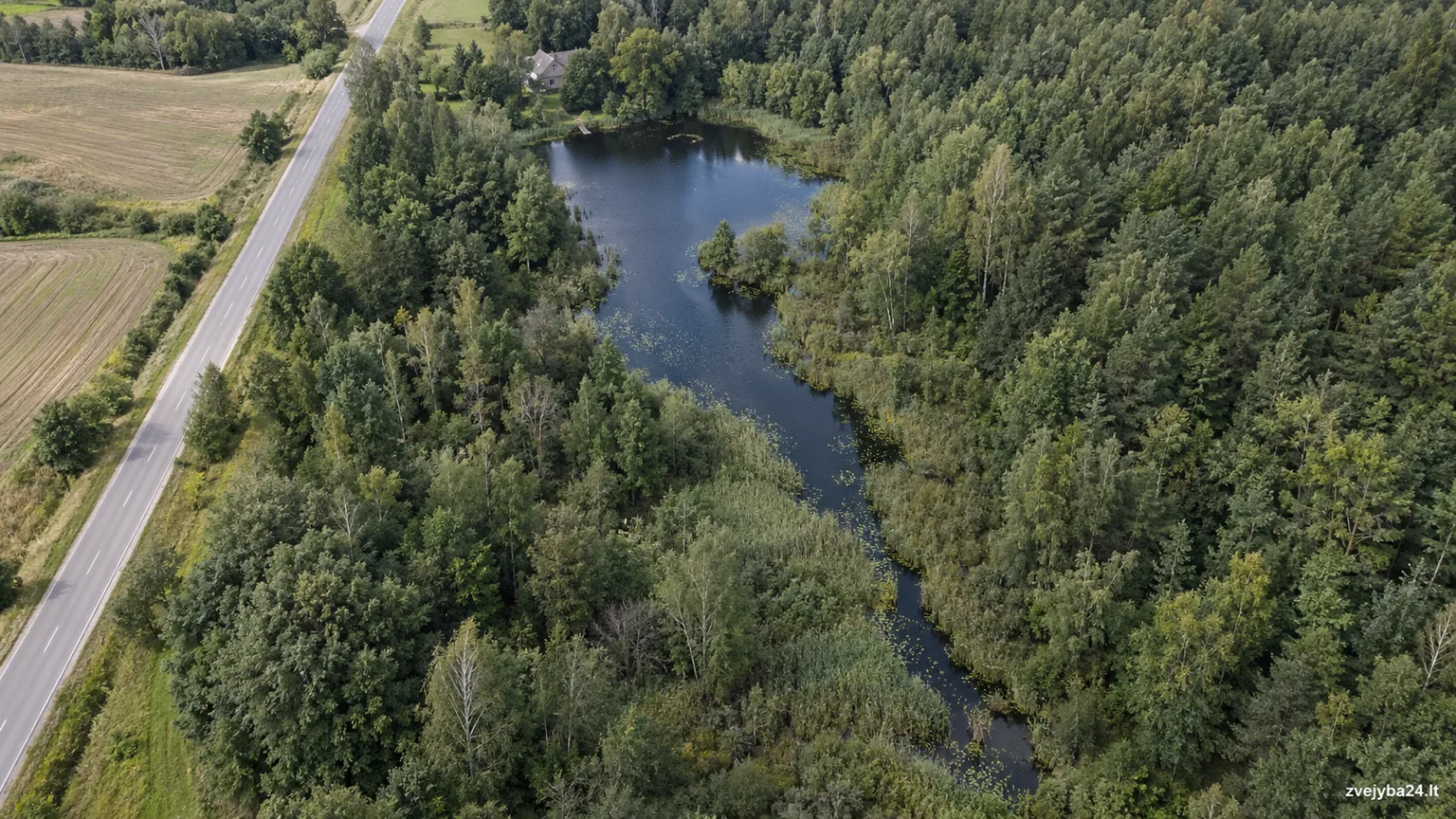 Alaušų tvenkinys
