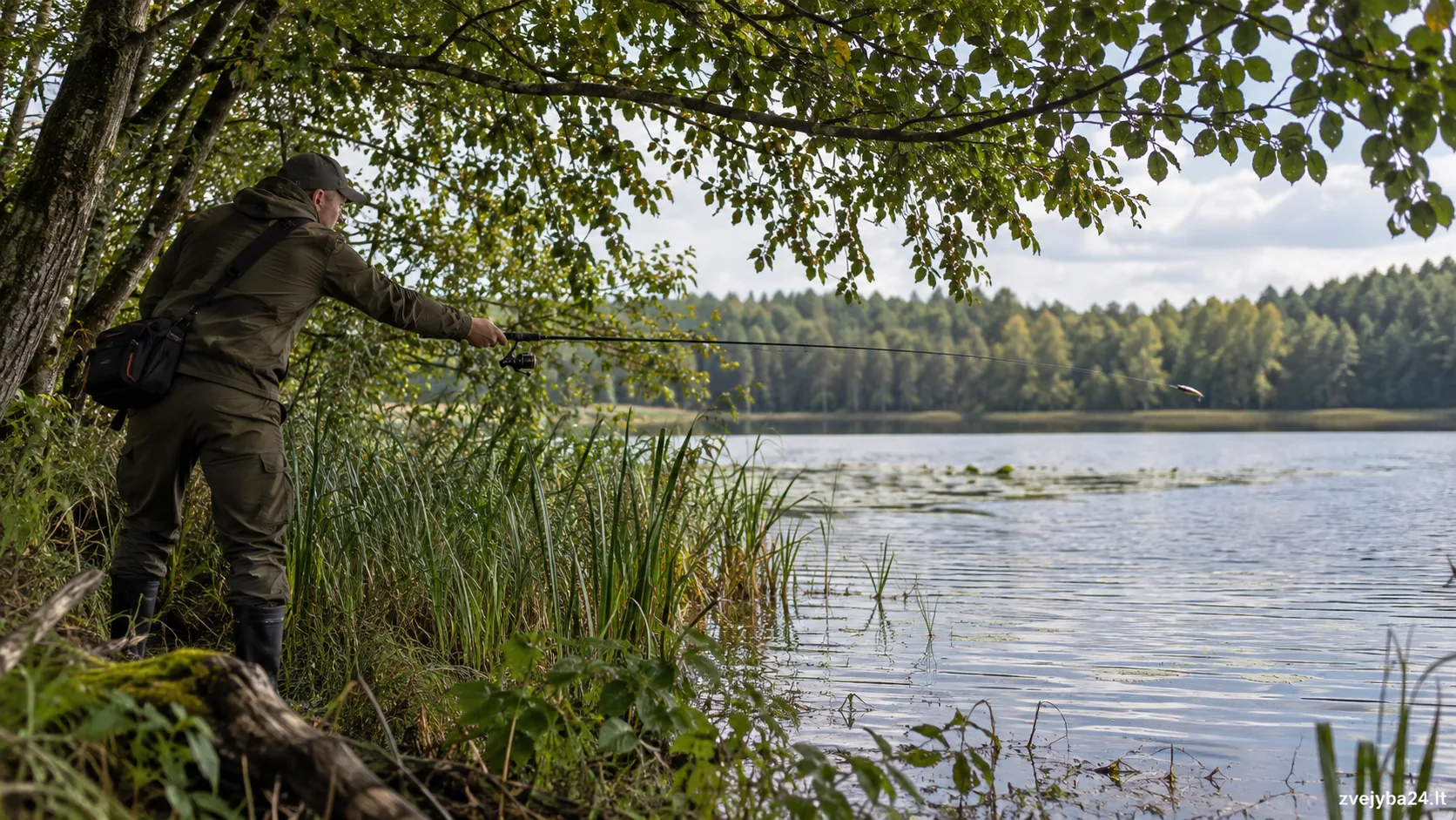 Žemas šoninis metimas po pakrantės šakomis prie Lietuvos ežero