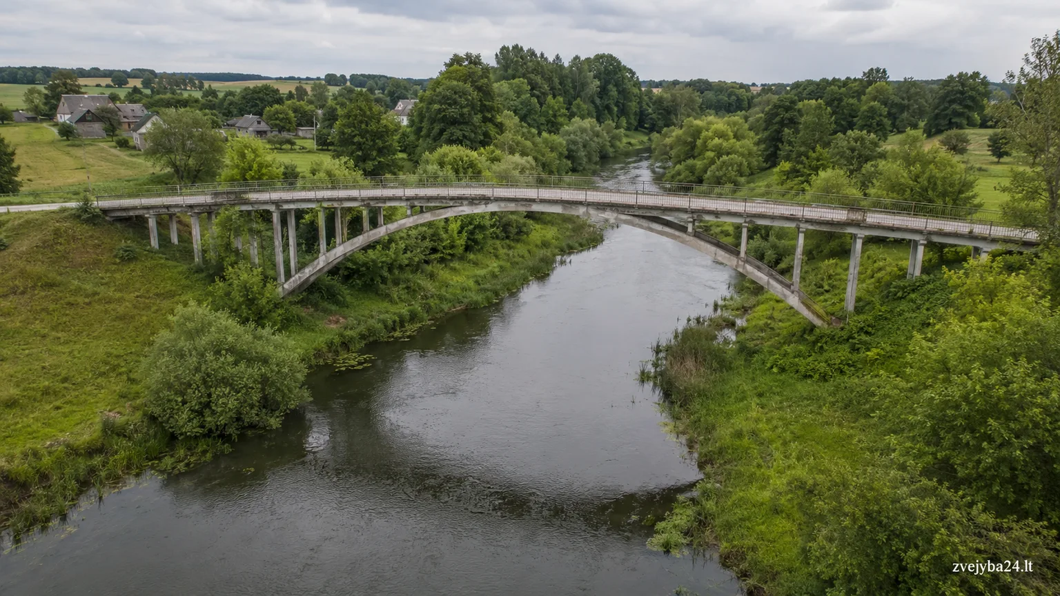 Lėvuo