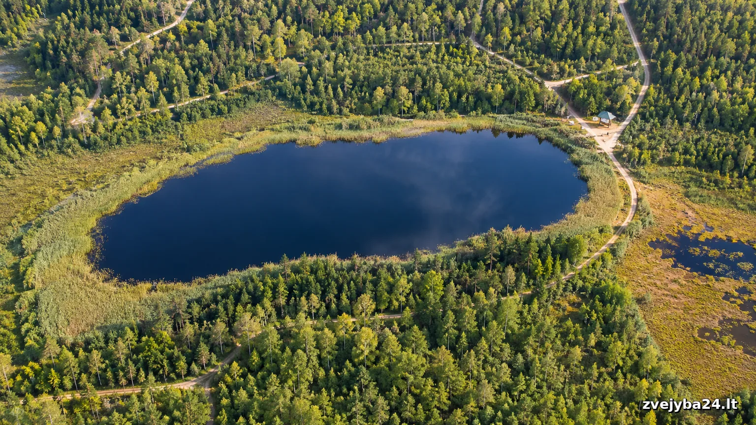 Piliškių ežeras
