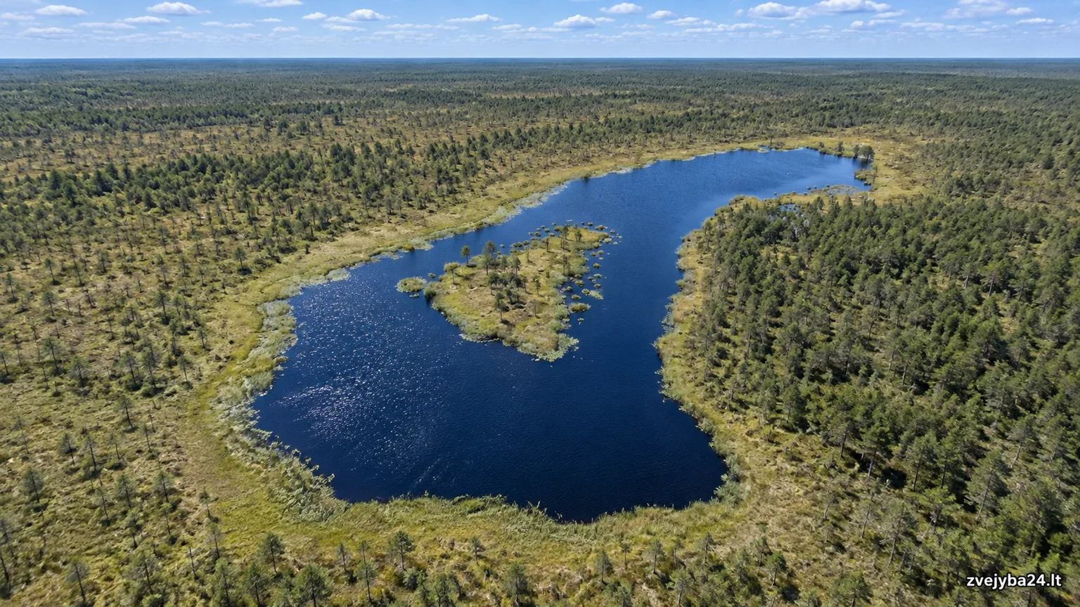 Šėkinukas (Čepkelių ežeras)