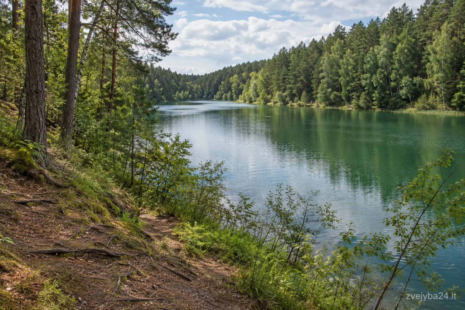 ežeras Balsys (Kryžiokų)