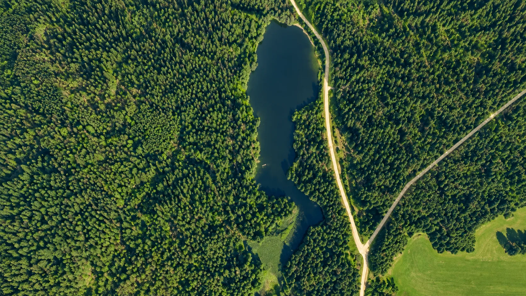Šarkiškių II tvenkinys