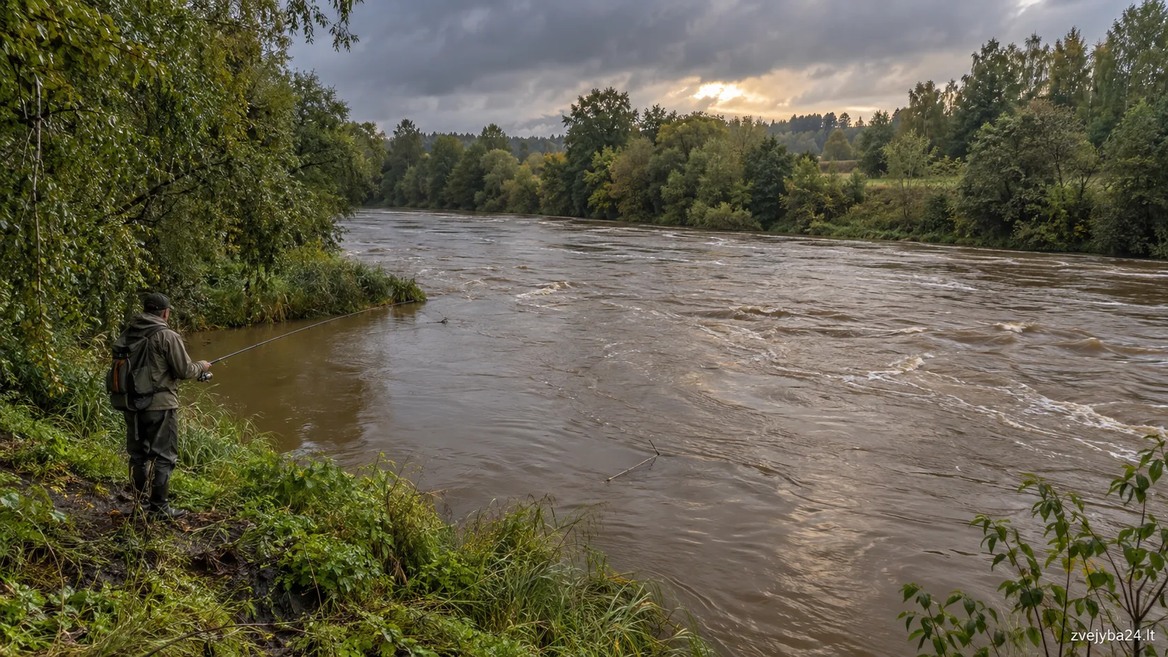 Po liūties vanduo parudavo. Ar žuvis tikrai nustojo kibti?